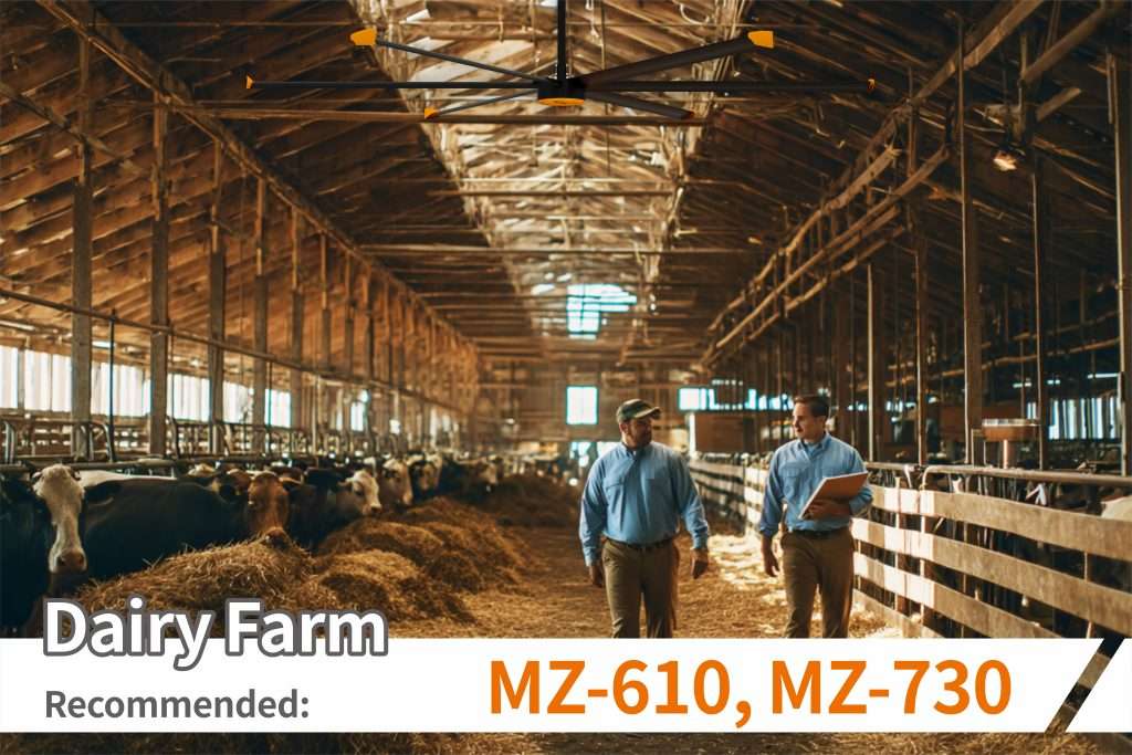 Dairy Farm