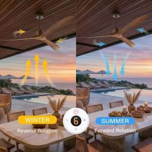 Large Ceiling Fans A60