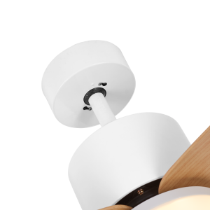 Residential Ceiling Fans A04