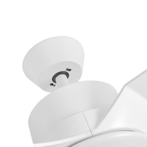Residential Ceiling Fans A49